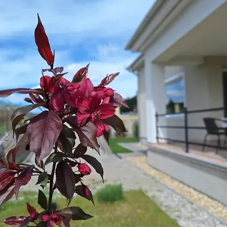 Apartment Zoeld Terasz Vendeghaz Egerszalok