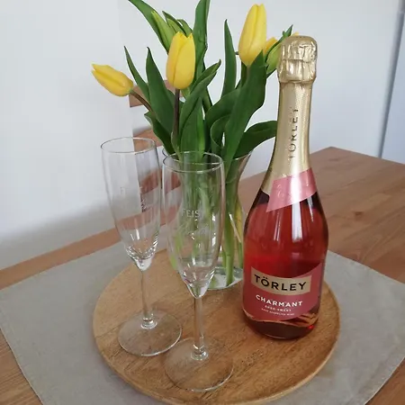 Zoeld Terasz Vendeghaz شقة إيغيرسولوك