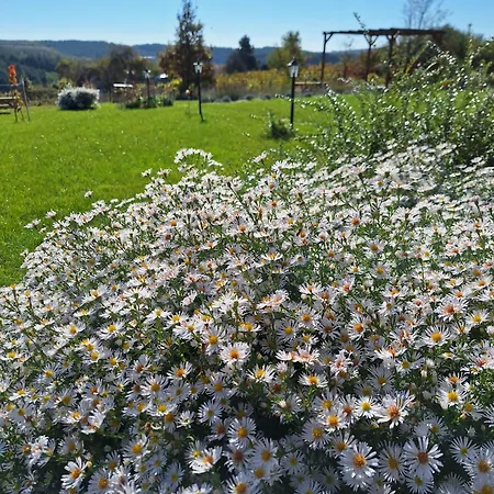 Zoeld Terasz Vendeghaz